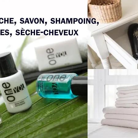 Διαμέρισμα Ideal Plein Centre - 65m2- Piscine Et Garage *